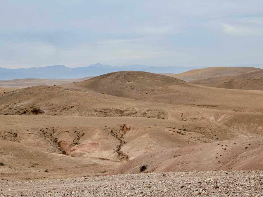 Standard Agafay Desert Day Trip