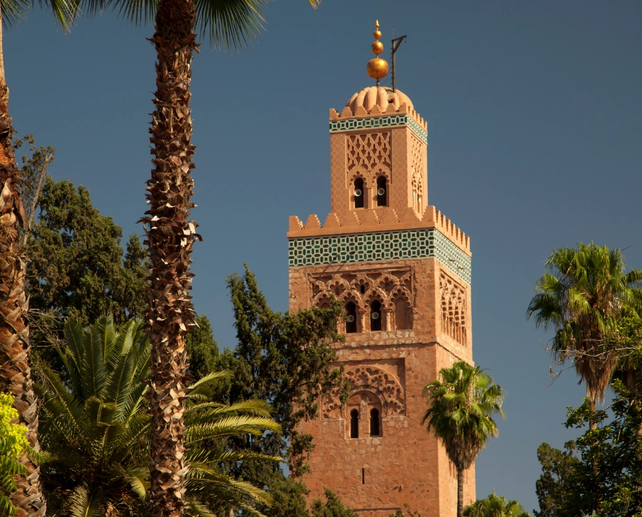 Morocco Tours (24)