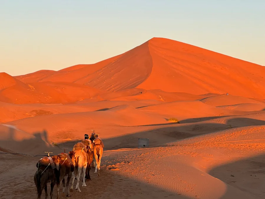 3 Day Desert Tour from Fes to Marrakech