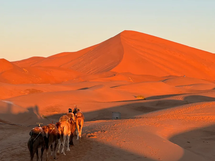 Morocco Tours (11)