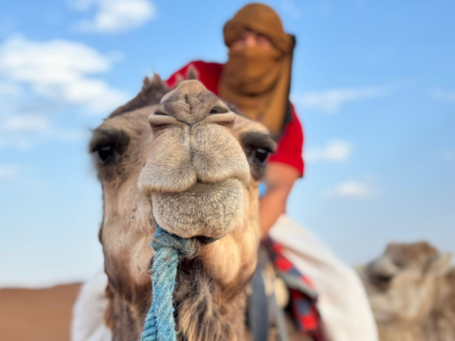 Morocco-Tours-_4_